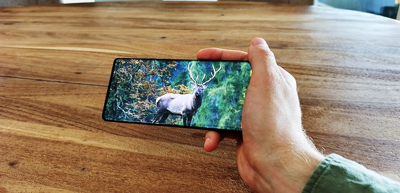 Een hand houdt een Motorola Edge 50 Fusion-smartphone vast, leunend op een houten tafel. Op het scherm is een afbeelding van een hert zichtbaar. 